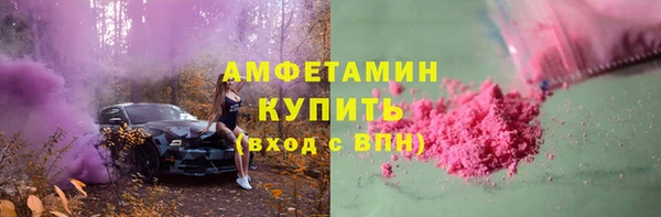 сатива Иннополис