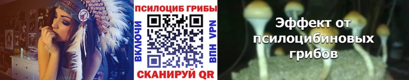 Псилоцибиновые грибы Psilocybine cubensis  Сураж 